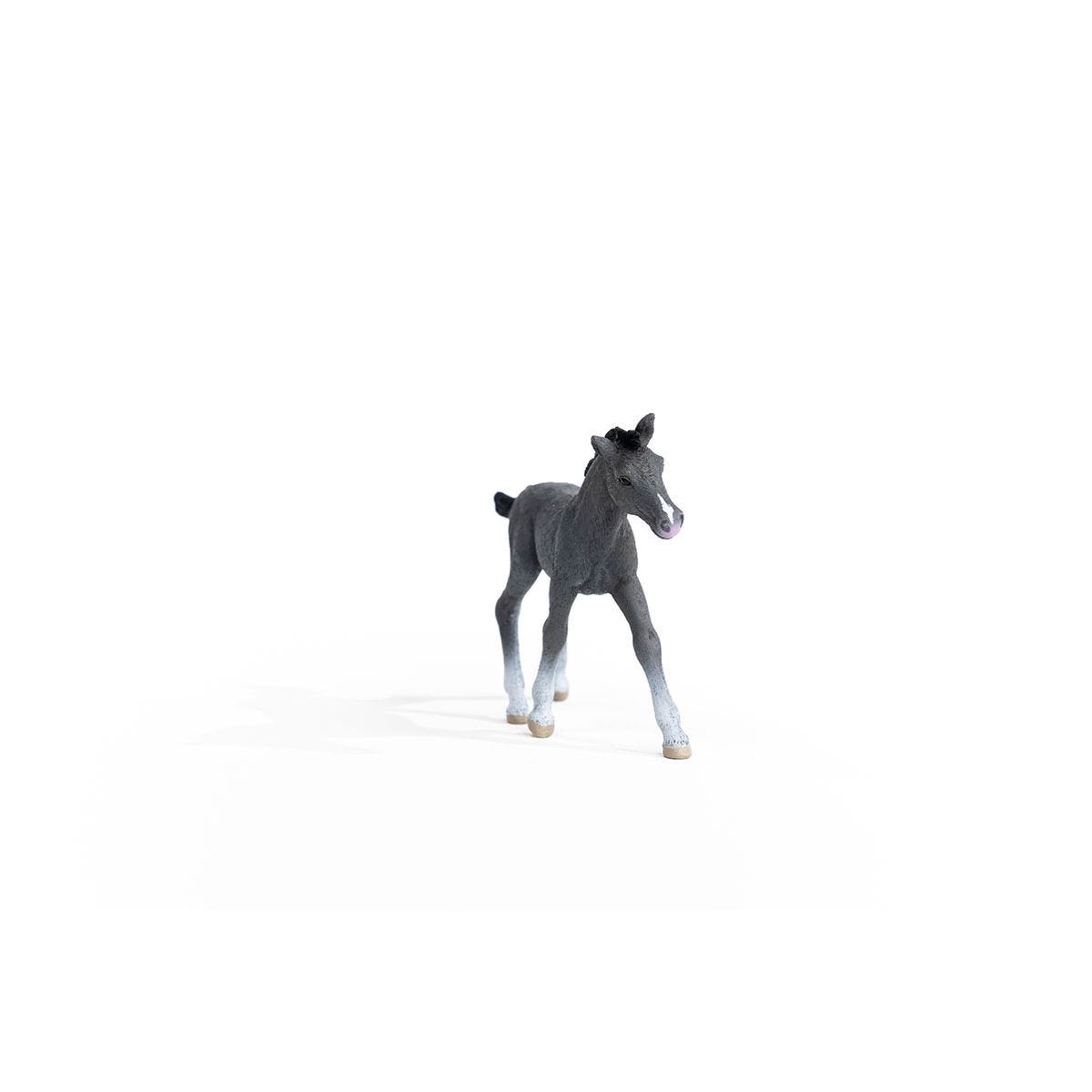 Schleich - Trakehner Foal Horse Figurine