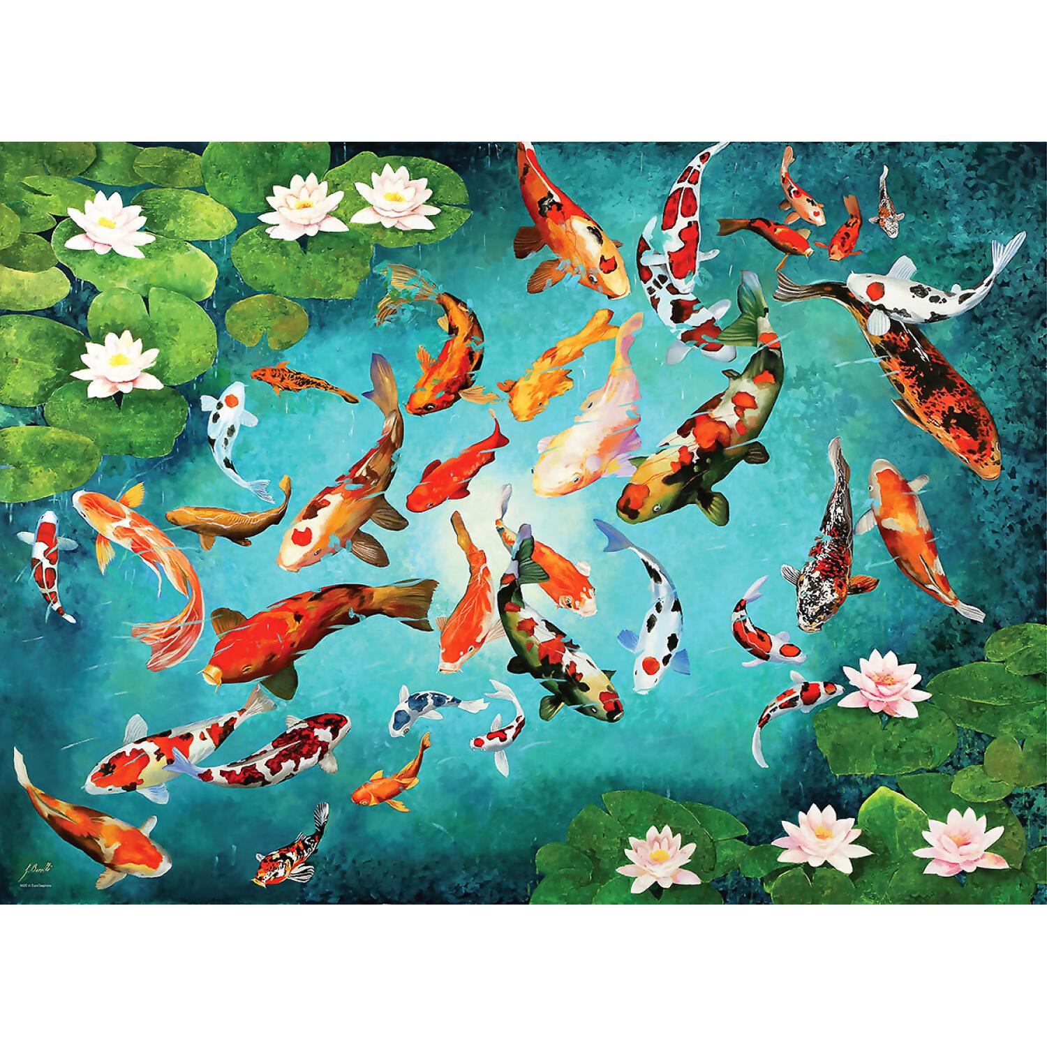 EuroGraphics - Koi Fish - Jigsaw Puzzle 1000 Pieces