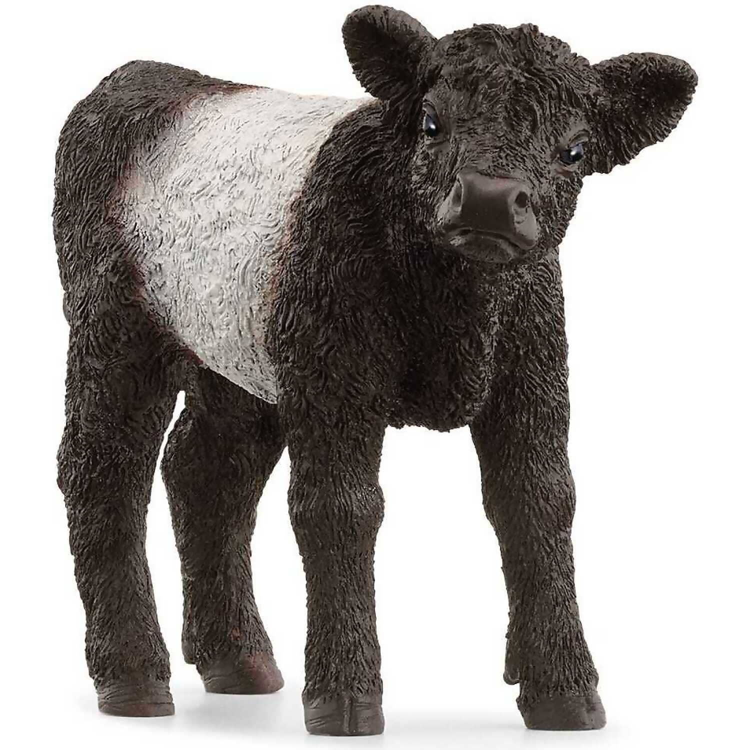 Schleich - Galloway Calf Farm World Animal Figurine