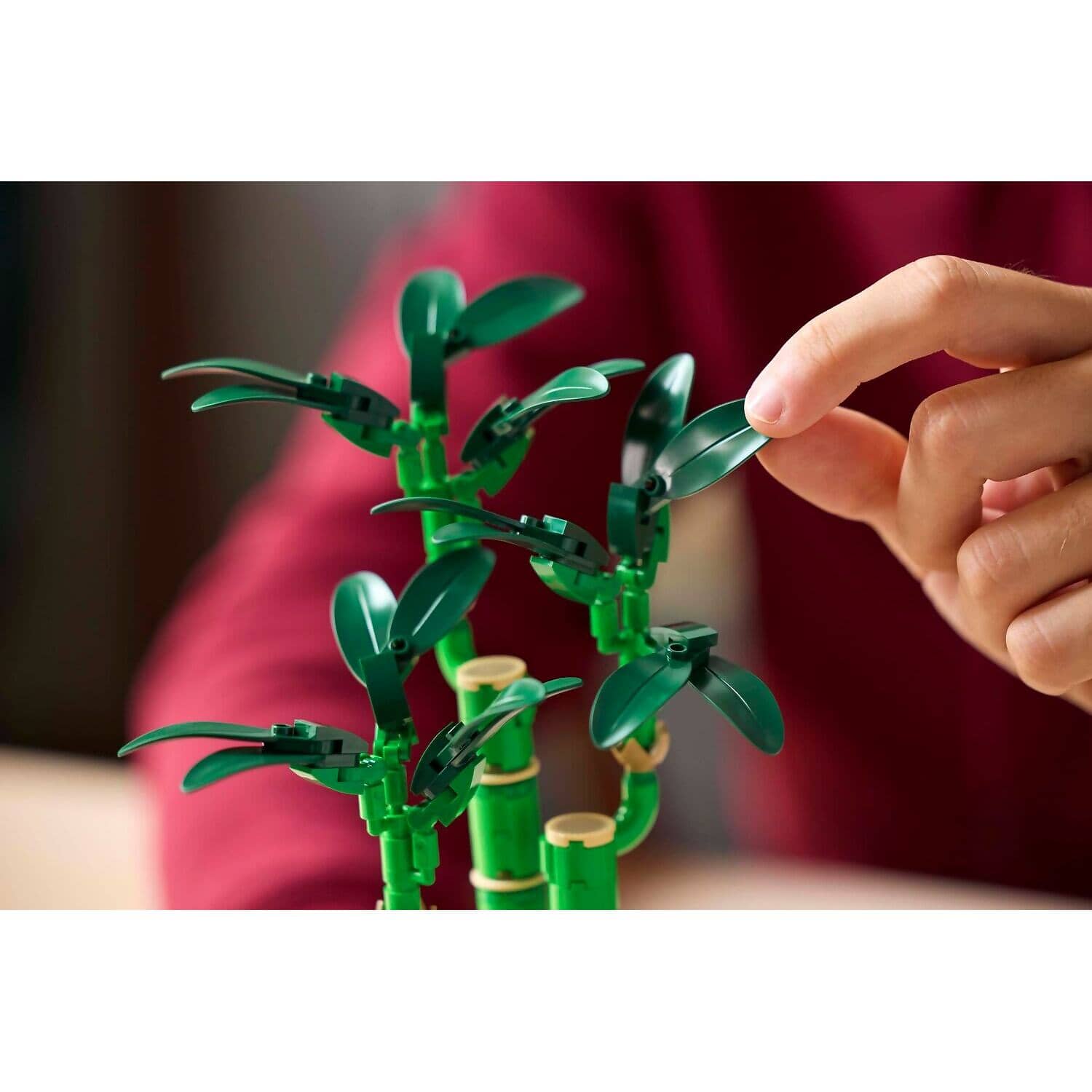 LEGO® 10344 Lucky Bamboo - Botanical Collection