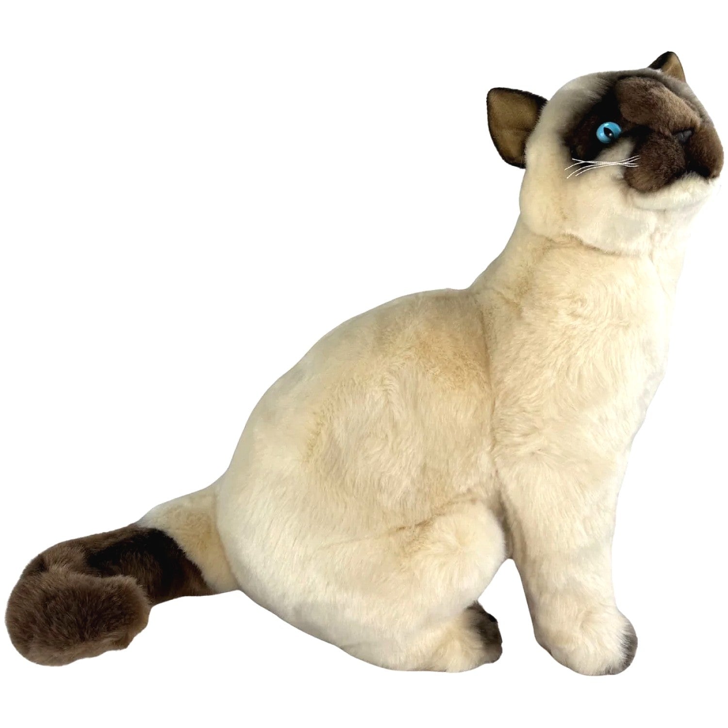Bocchetta - Tulip Siamese Cat Sitting Soft Plush 36cm