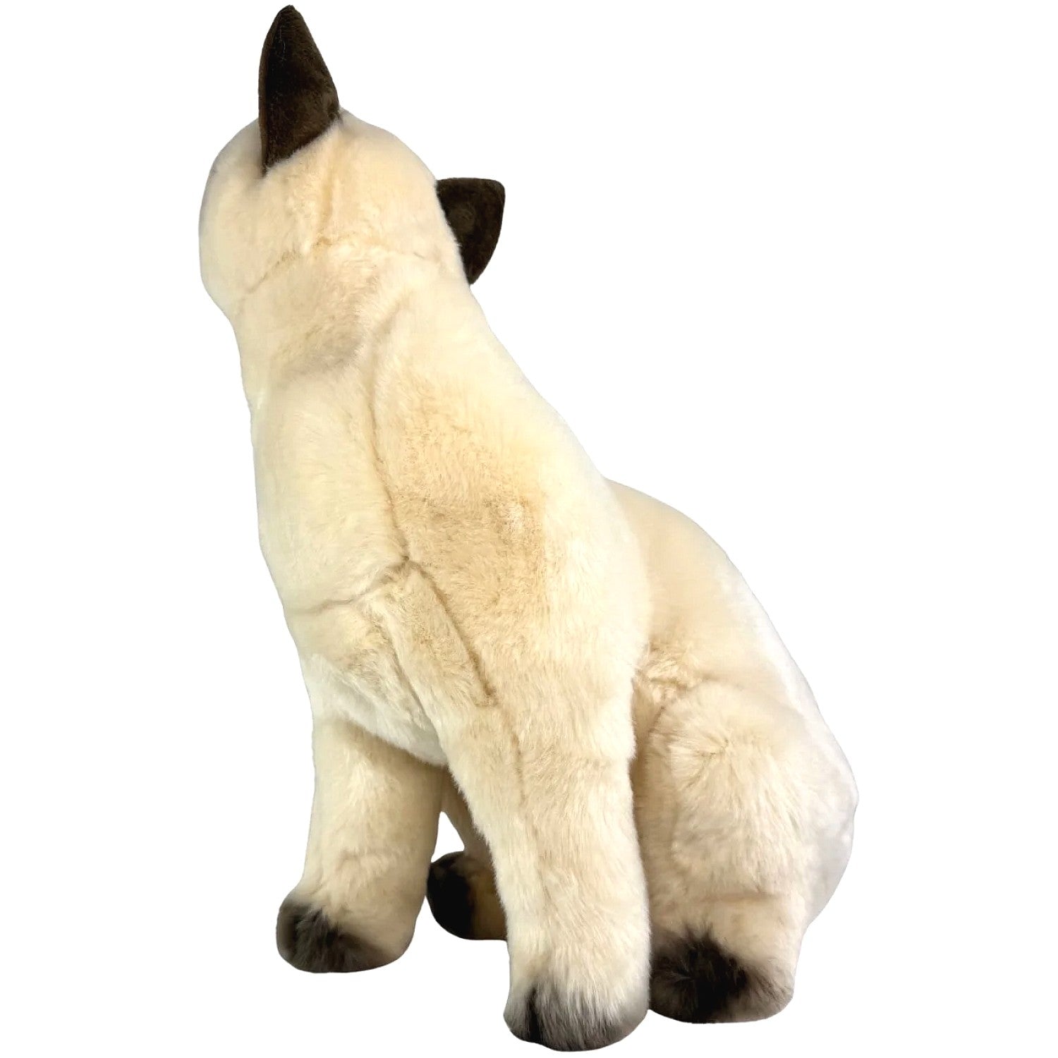 Bocchetta - Tulip Siamese Cat Sitting Soft Plush 36cm