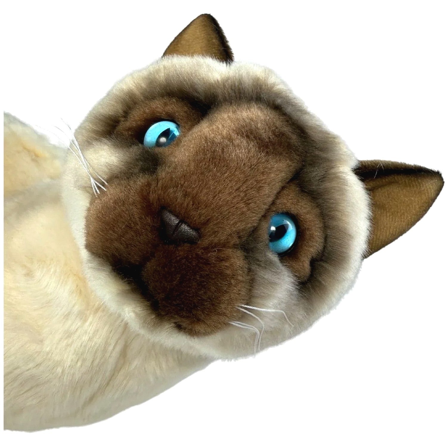 Bocchetta - Tulip Siamese Cat Sitting Soft Plush 36cm