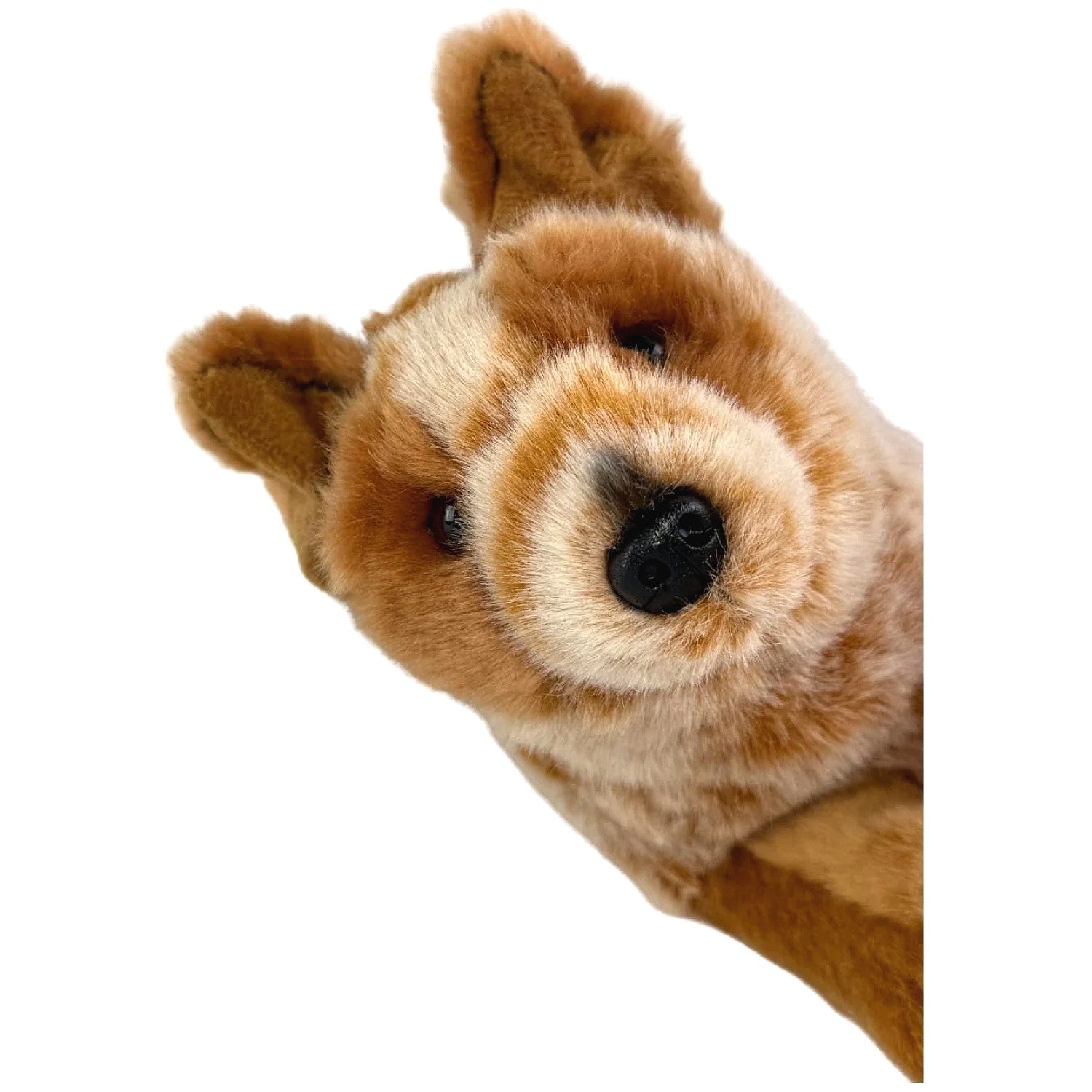Bocchetta - Flame Red Cattle Dog Floppy Soft Plush 28cm