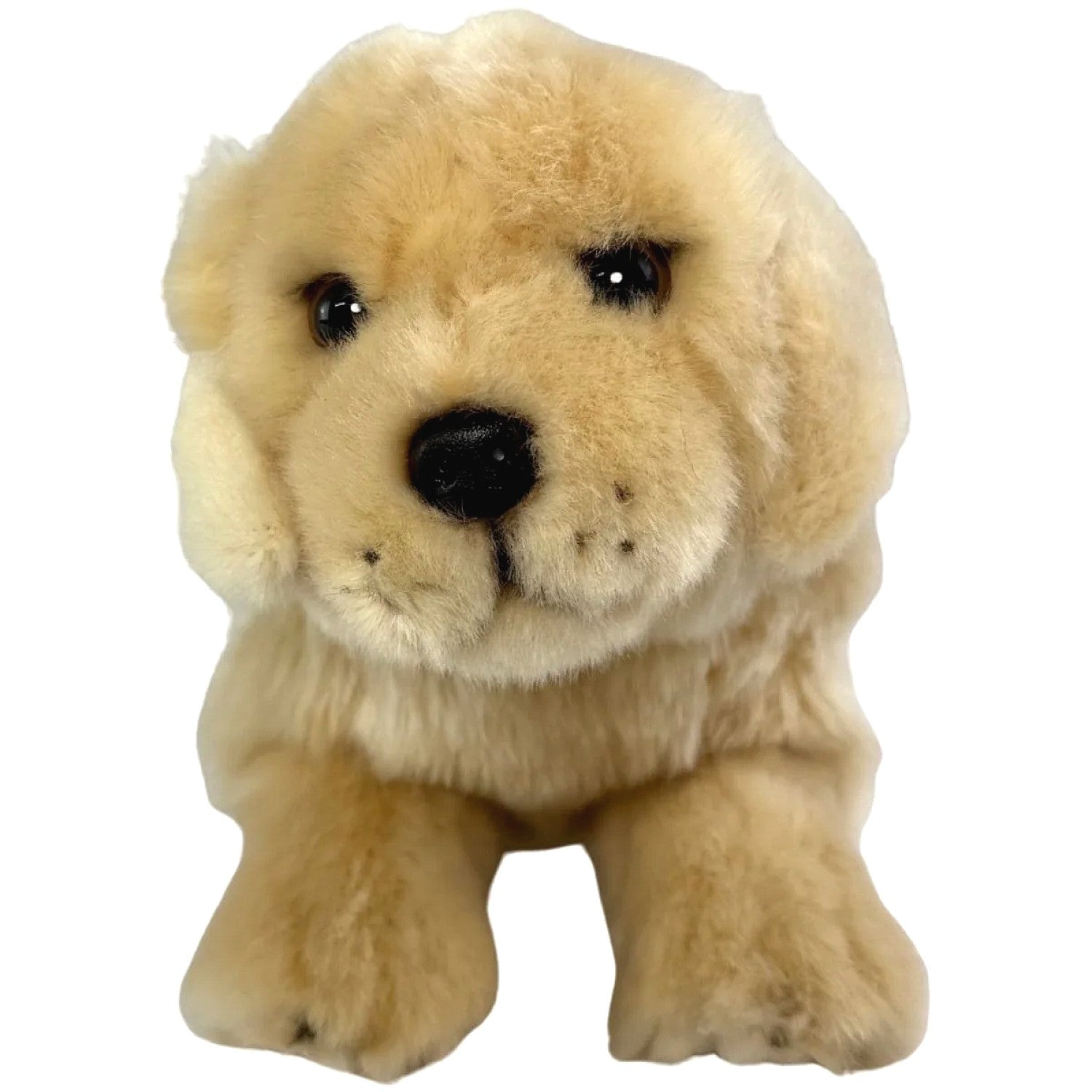 Bocchetta - Maple Golden Retriever Floppy Soft Plush 28cm