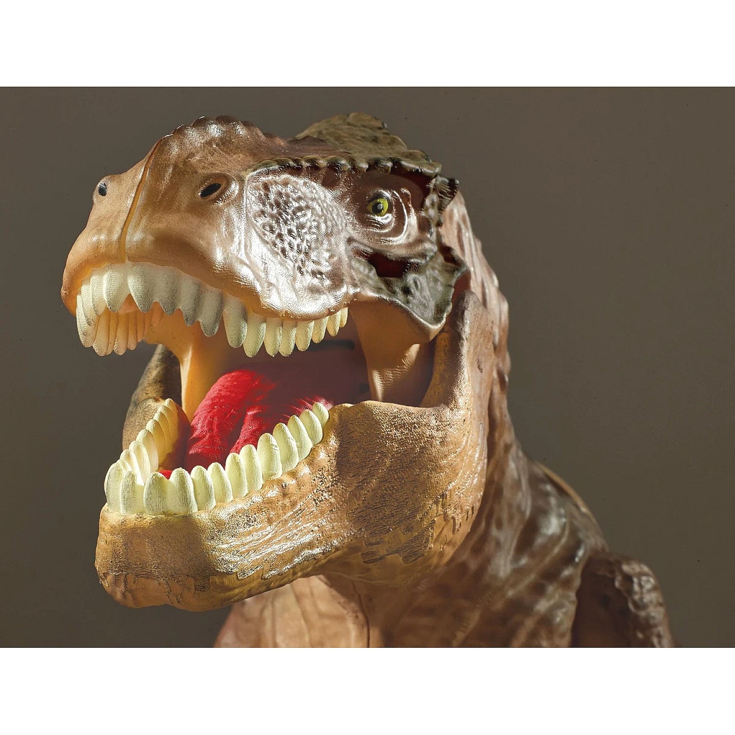 Brainstorm Toys - T Rex Projector & Room Guard