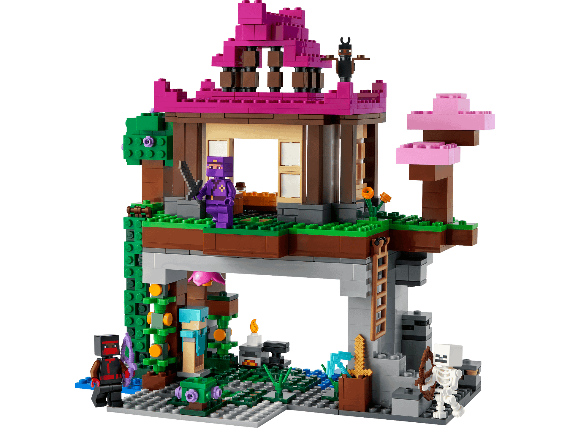 LEGO® 21183 The Training Grounds - Minecraft®