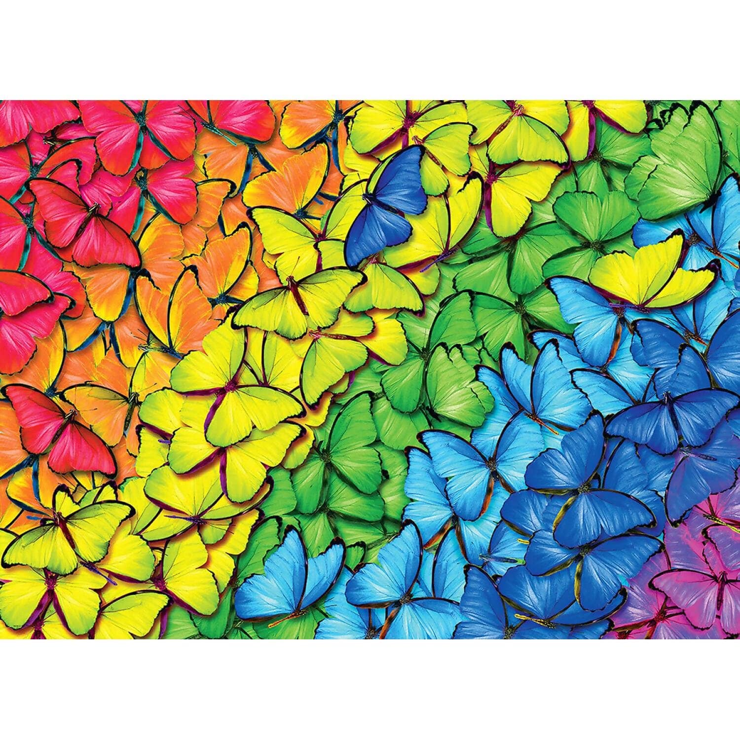 EuroGraphics - Butterfly Rainbow - Jigsaw Puzzle 1000 Pieces