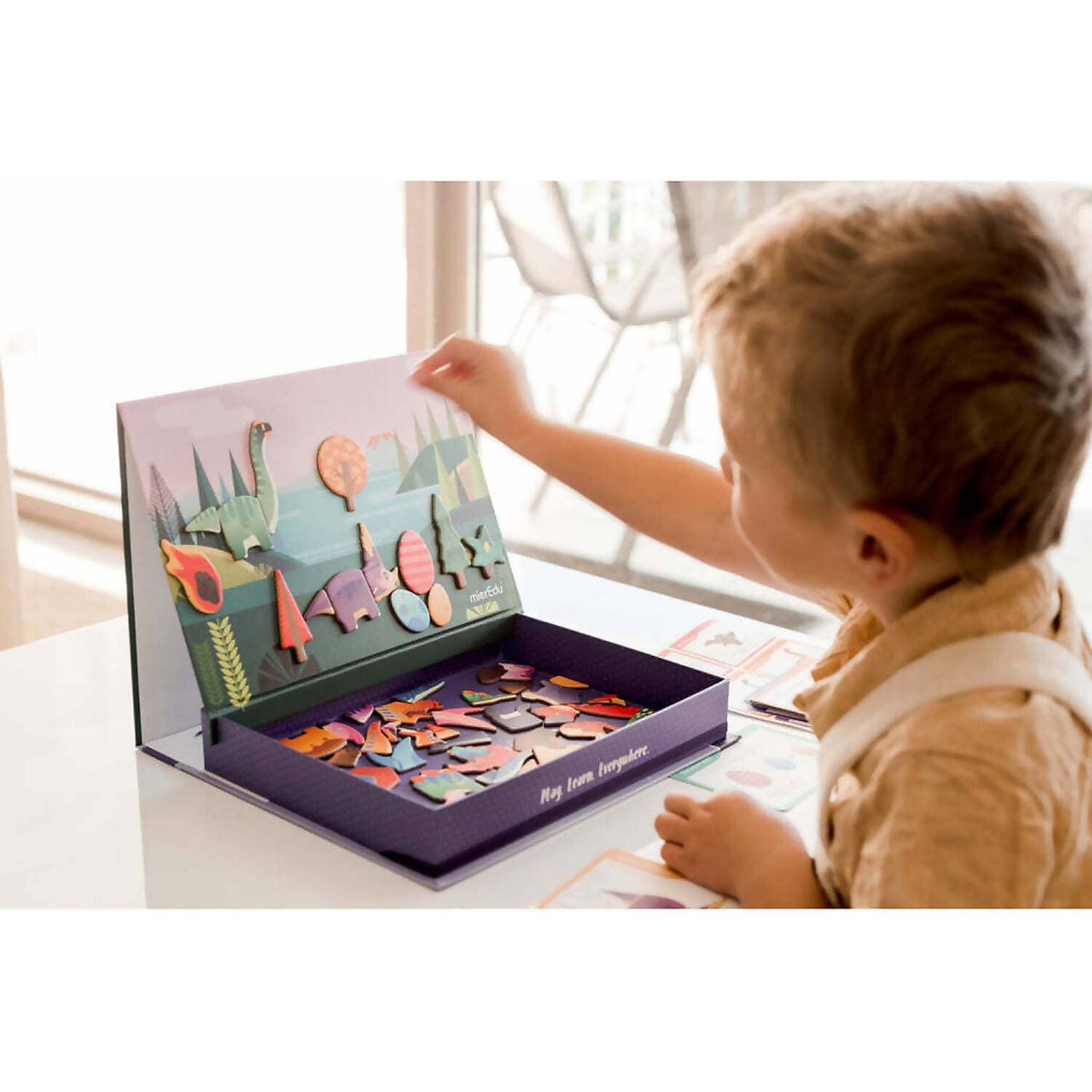 mierEdu - Magnetic Art Case Dino World