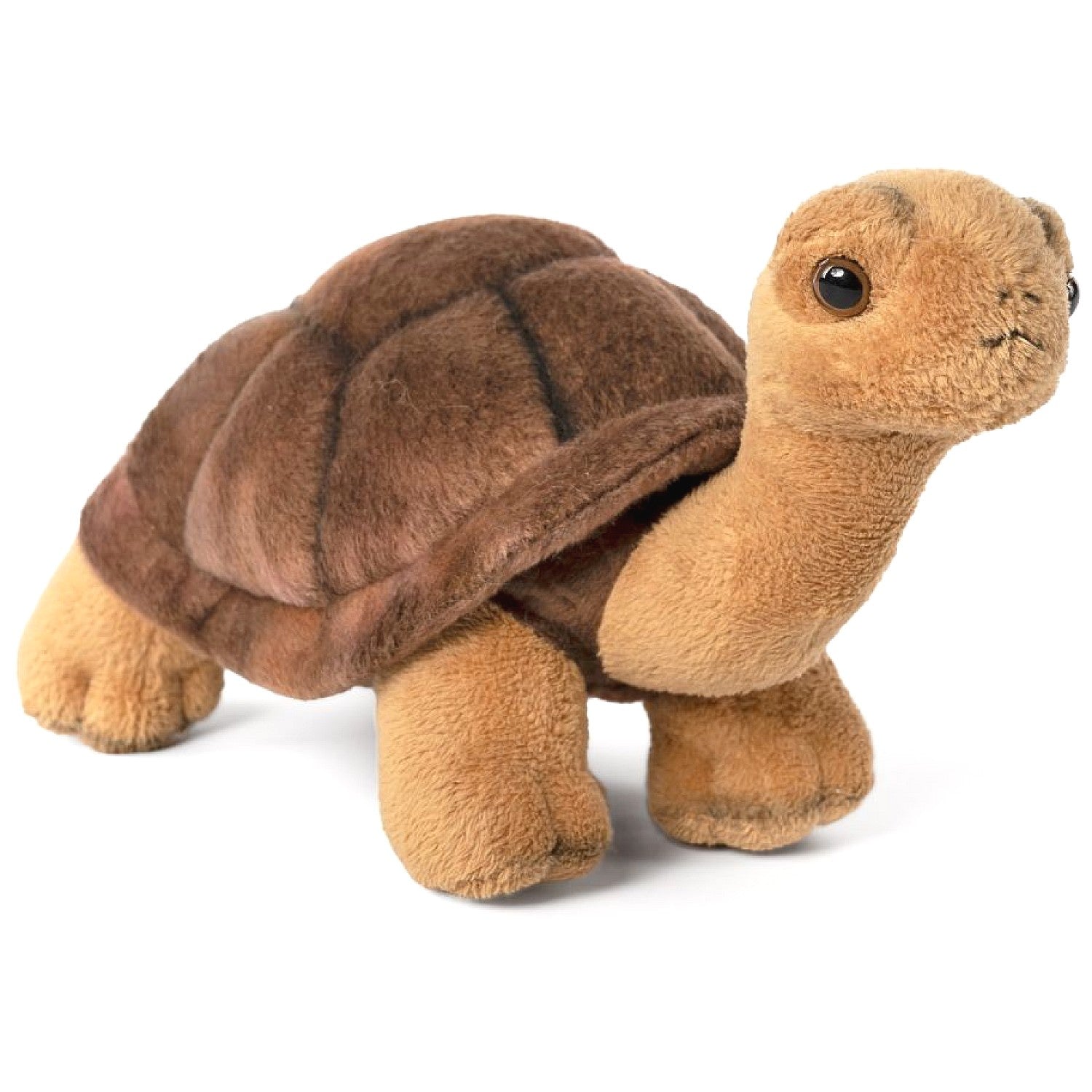 Living Nature - Tortoise Super Soft Plush 20cm