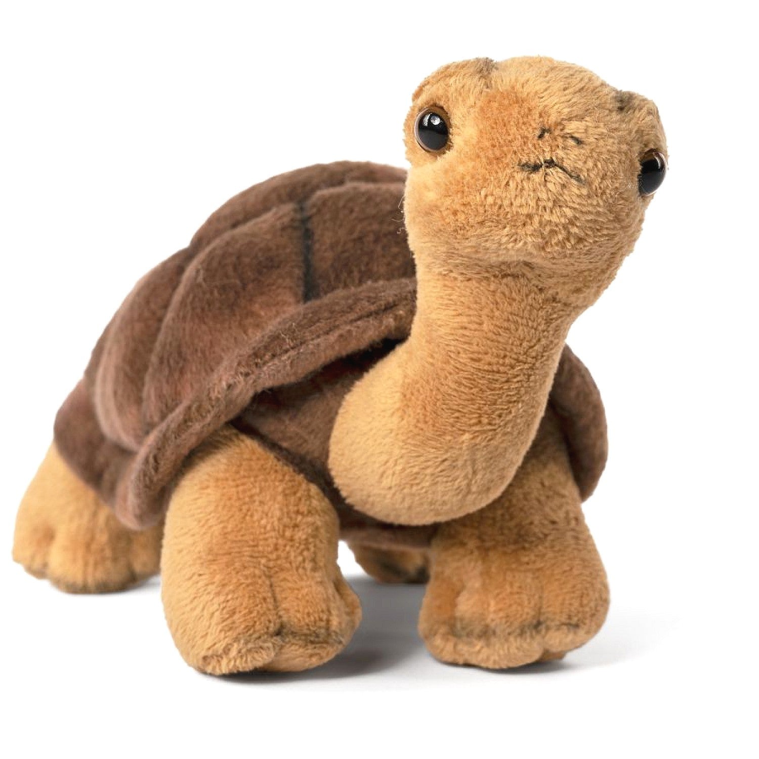 Living Nature - Tortoise Super Soft Plush 20cm