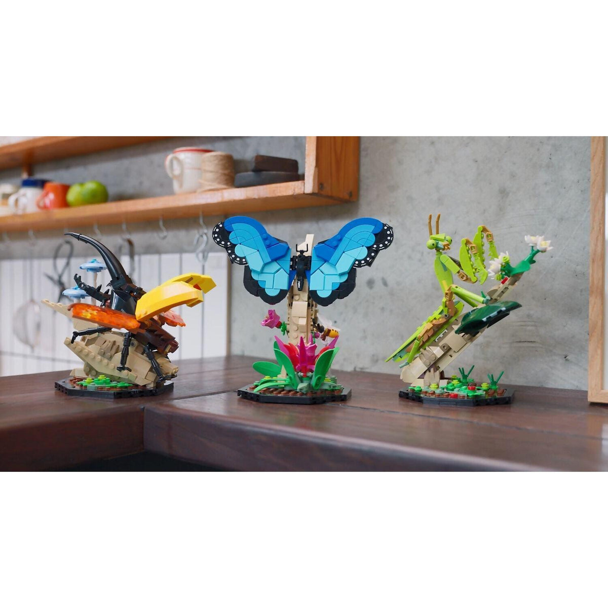 LEGO® 21342 The Insect Collection - Ideas