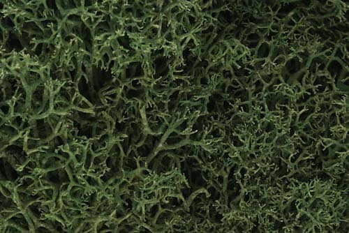 WOODLAND SCENICS - L163 LICHEN MEDIUM GREEN