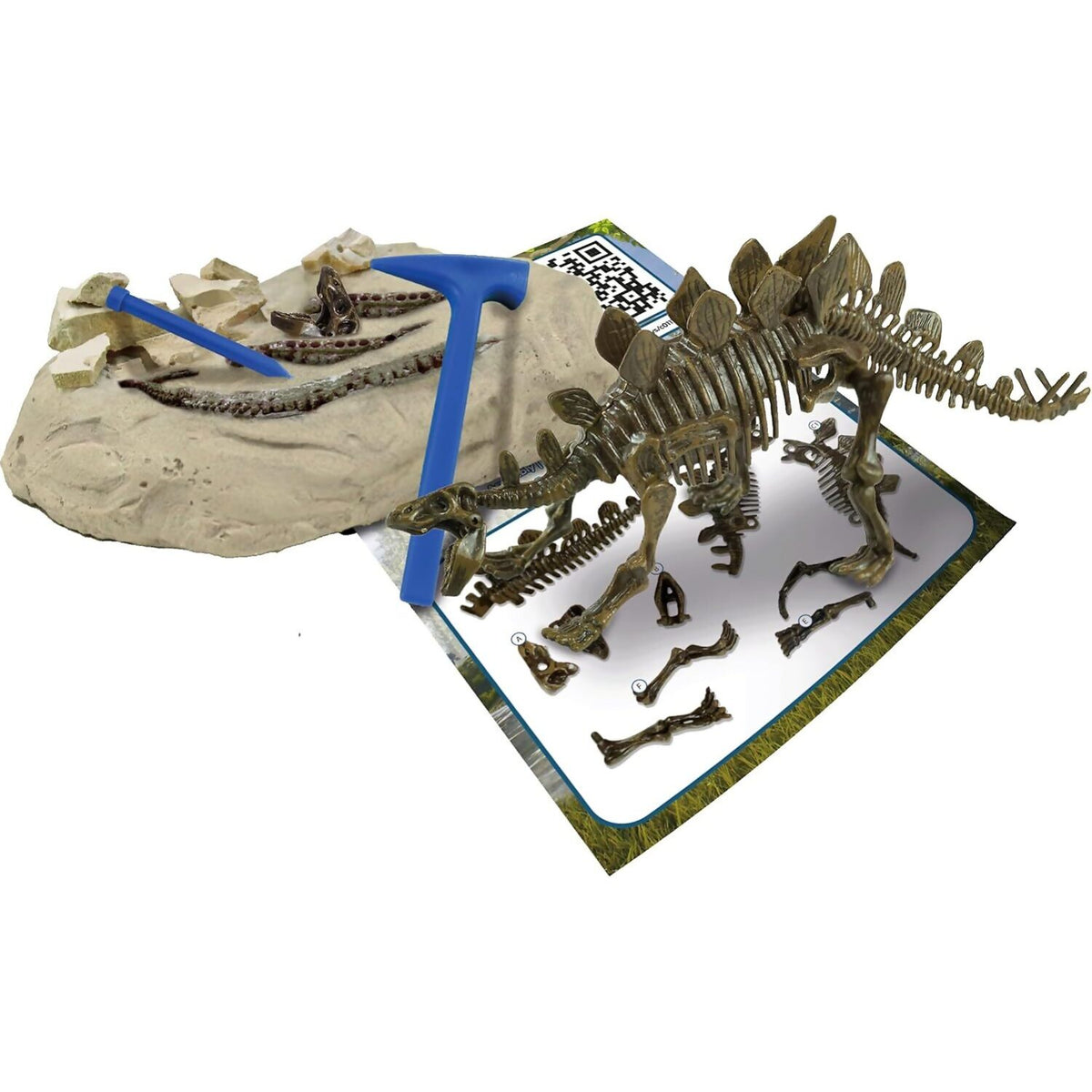 Science4You - Stegosaurus Fossil Excavation Kit