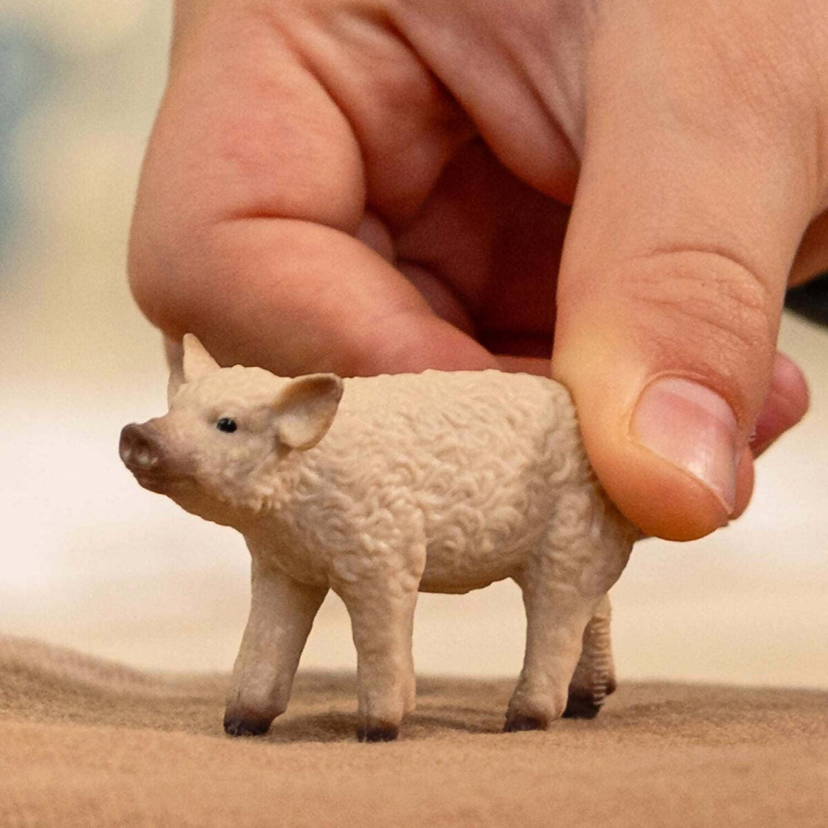 Schleich - Mangalica Piglet