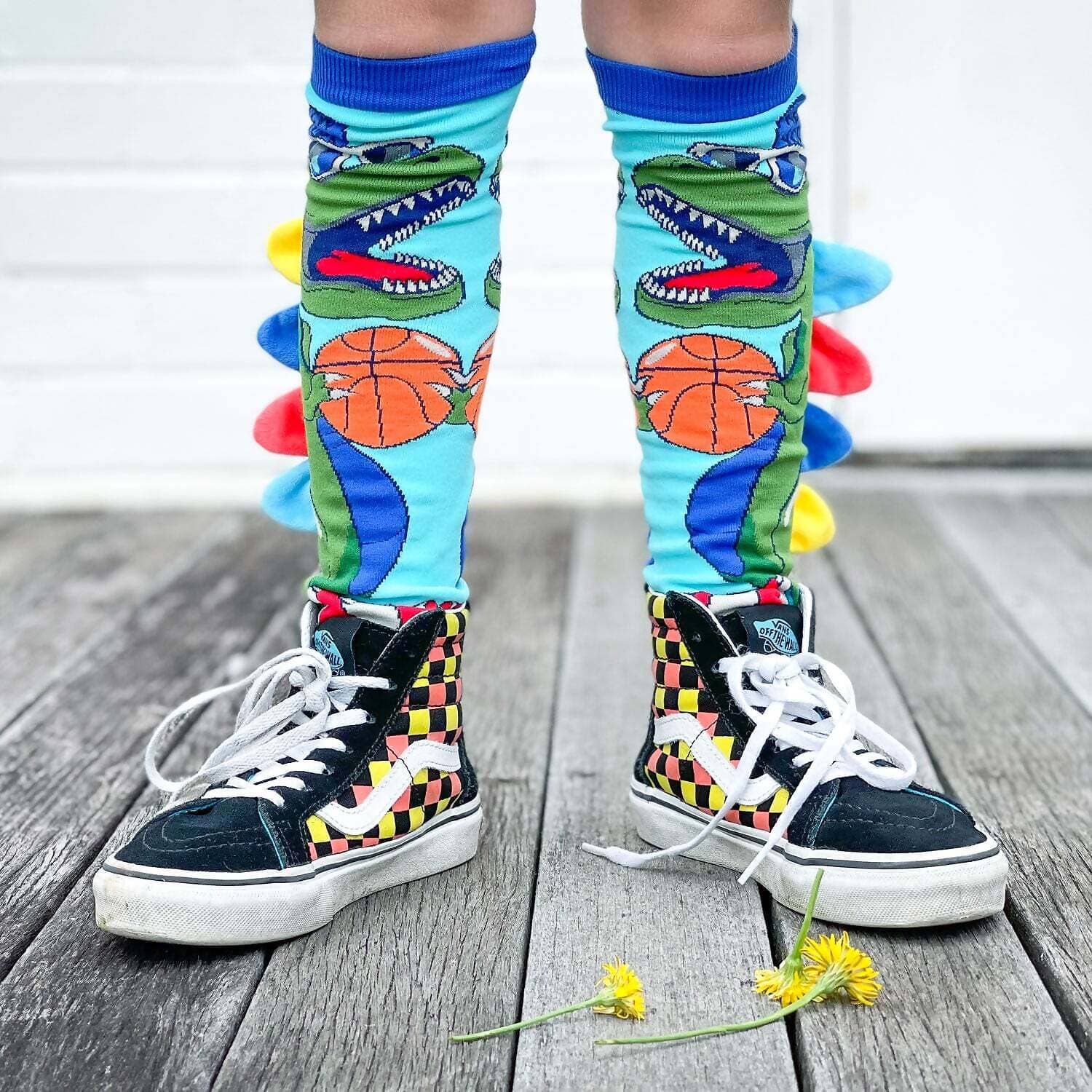 Madmia - Dinosaur Socks Kids & Adults Age 6y+