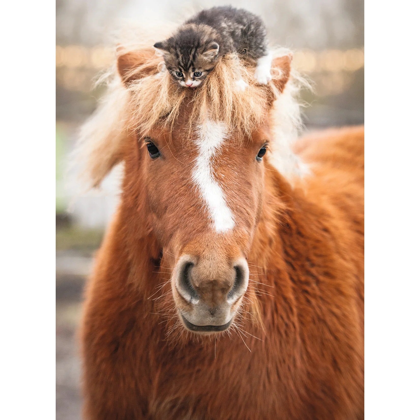 Ravensburger - The Little Rider Jigsaw Puzzle 500 Pieces