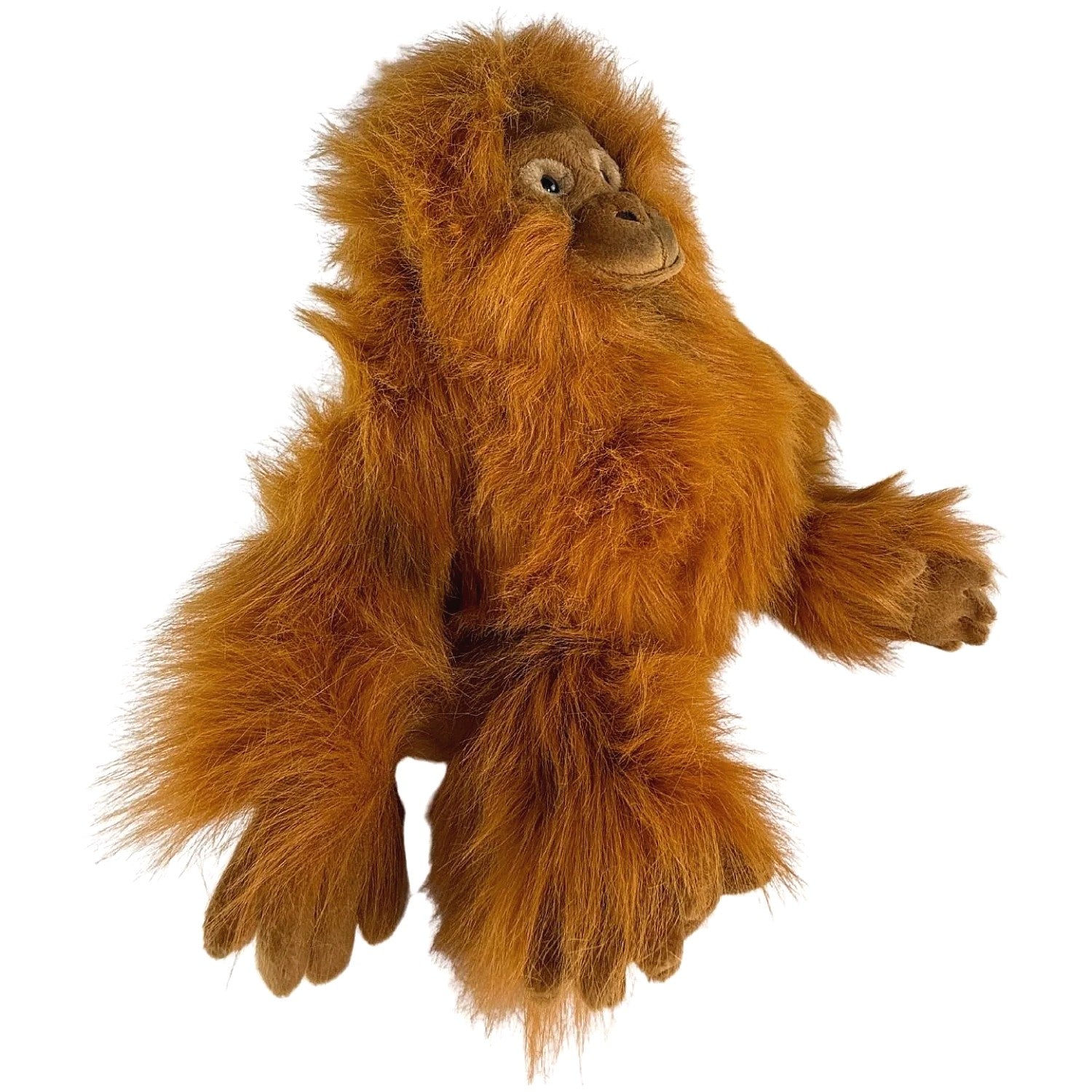 Bocchetta - Cha Cha Orangutan Soft Plush 35cm