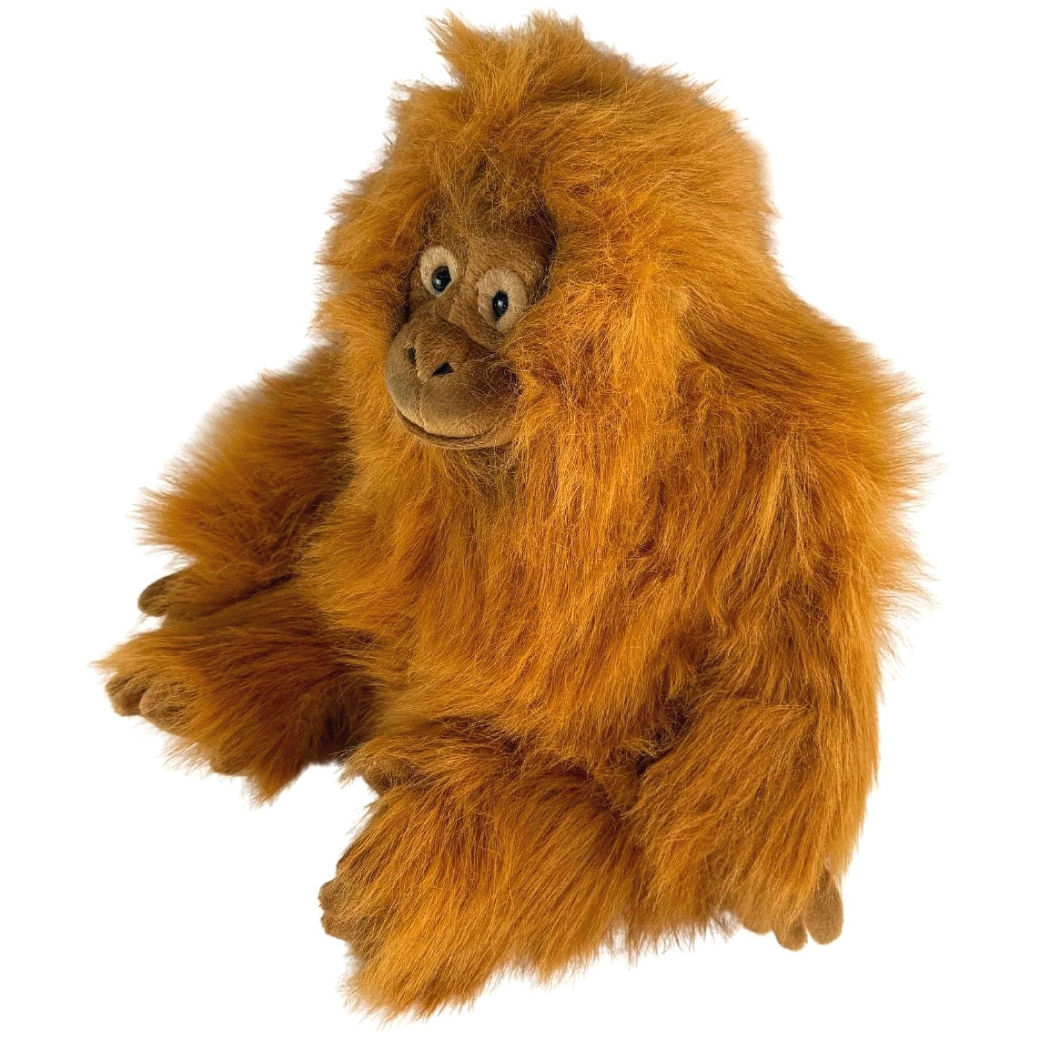 Bocchetta - Cha Cha Orangutan Soft Plush 35cm