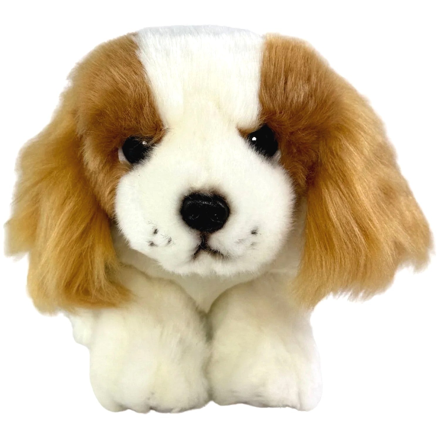 Bocchetta - Phoebe Brown Cavalier King Charles Spaniel Floppy Soft Plush 28cm