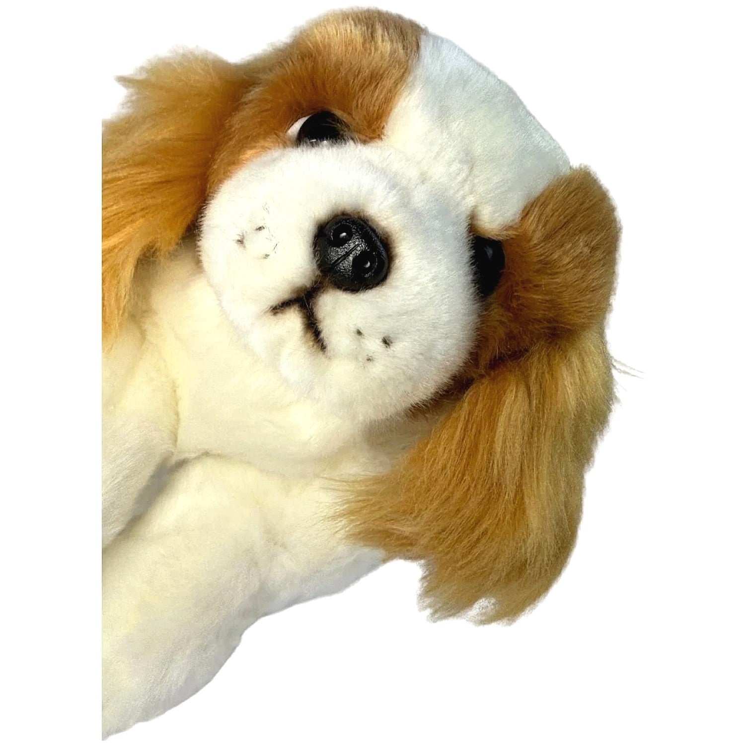 Bocchetta - Phoebe Brown Cavalier King Charles Spaniel Floppy Soft Plush 28cm