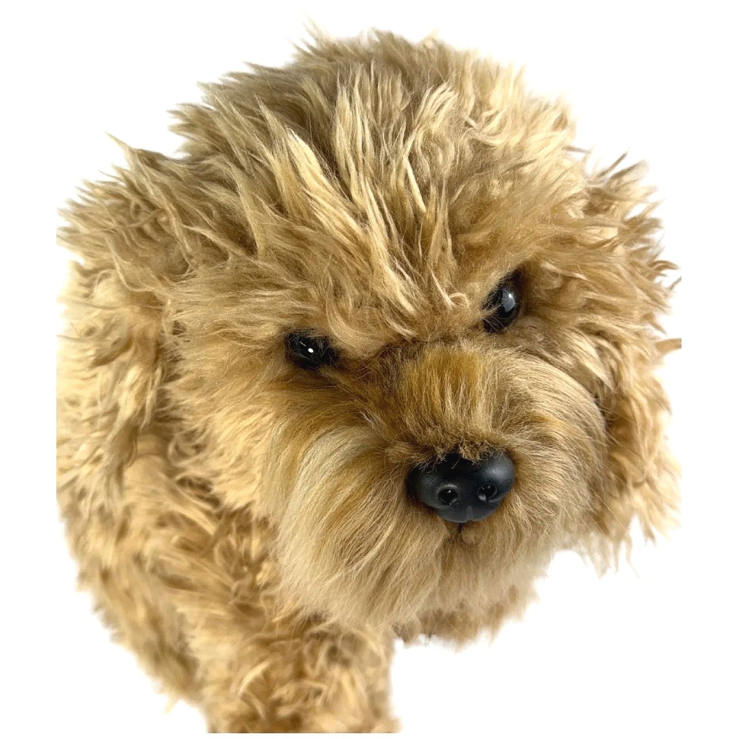 Bocchetta - Gilbert Brown Oodle Sitting Soft Plush 30cm