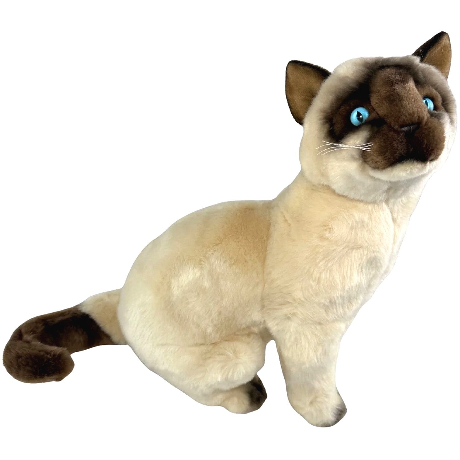 Bocchetta - Tulip Siamese Cat Sitting Soft Plush 36cm
