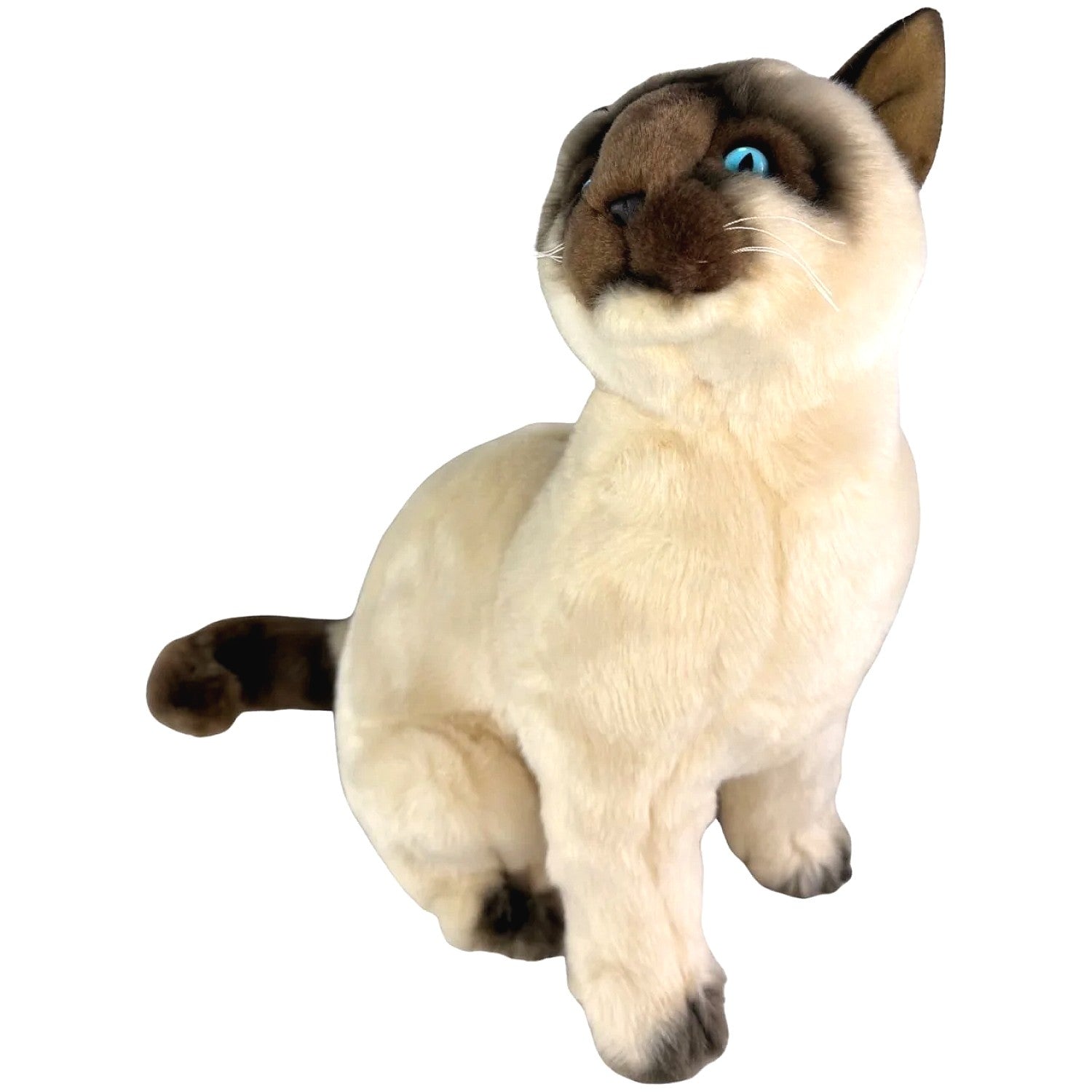 Bocchetta - Tulip Siamese Cat Sitting Soft Plush 36cm