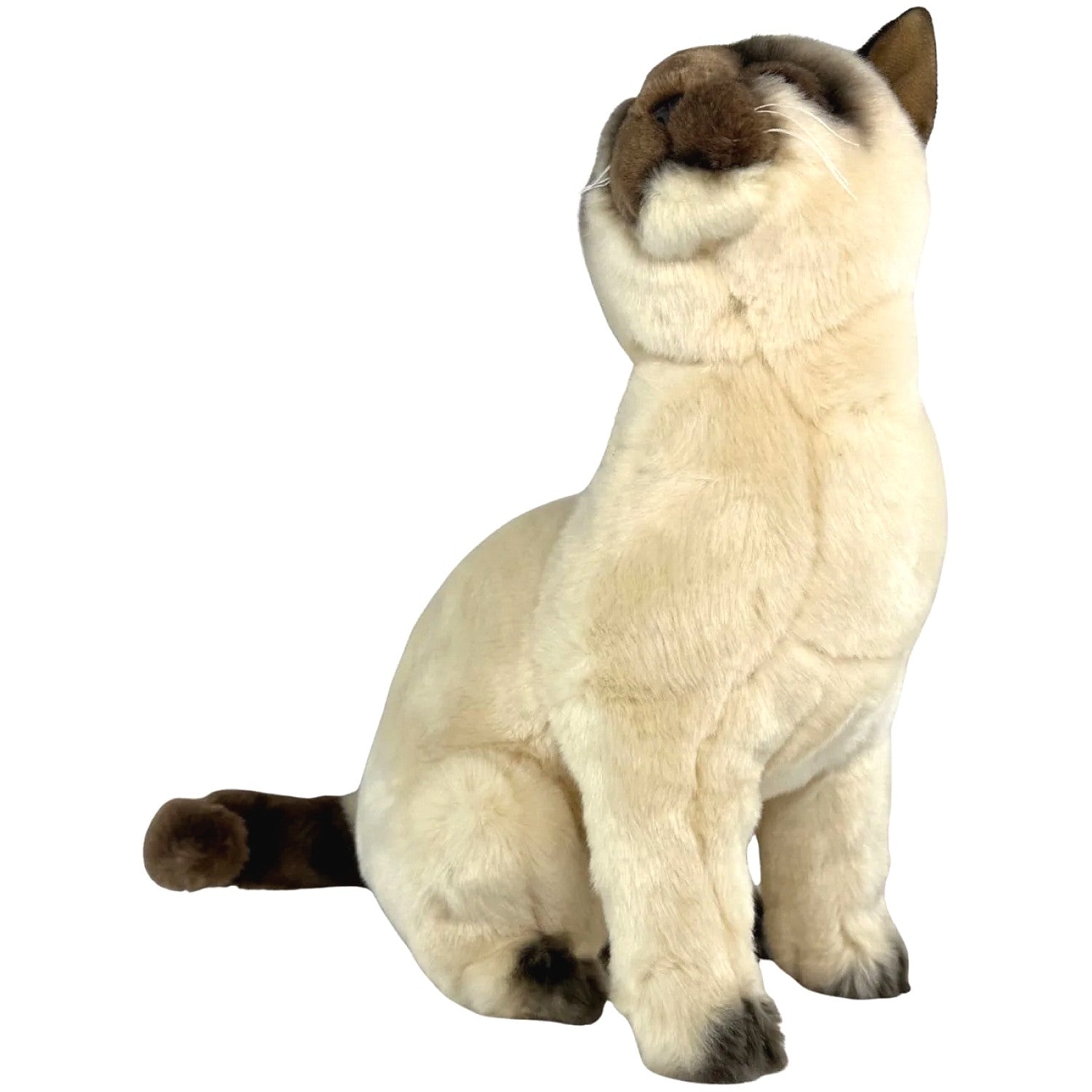 Bocchetta - Tulip Siamese Cat Sitting Soft Plush 36cm