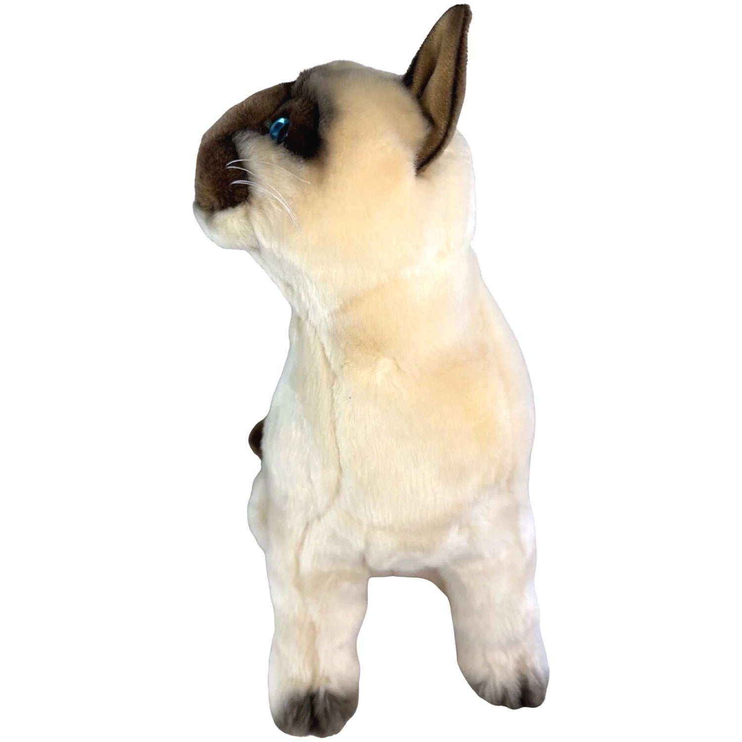 Bocchetta - Tulip Siamese Cat Sitting Soft Plush 36cm