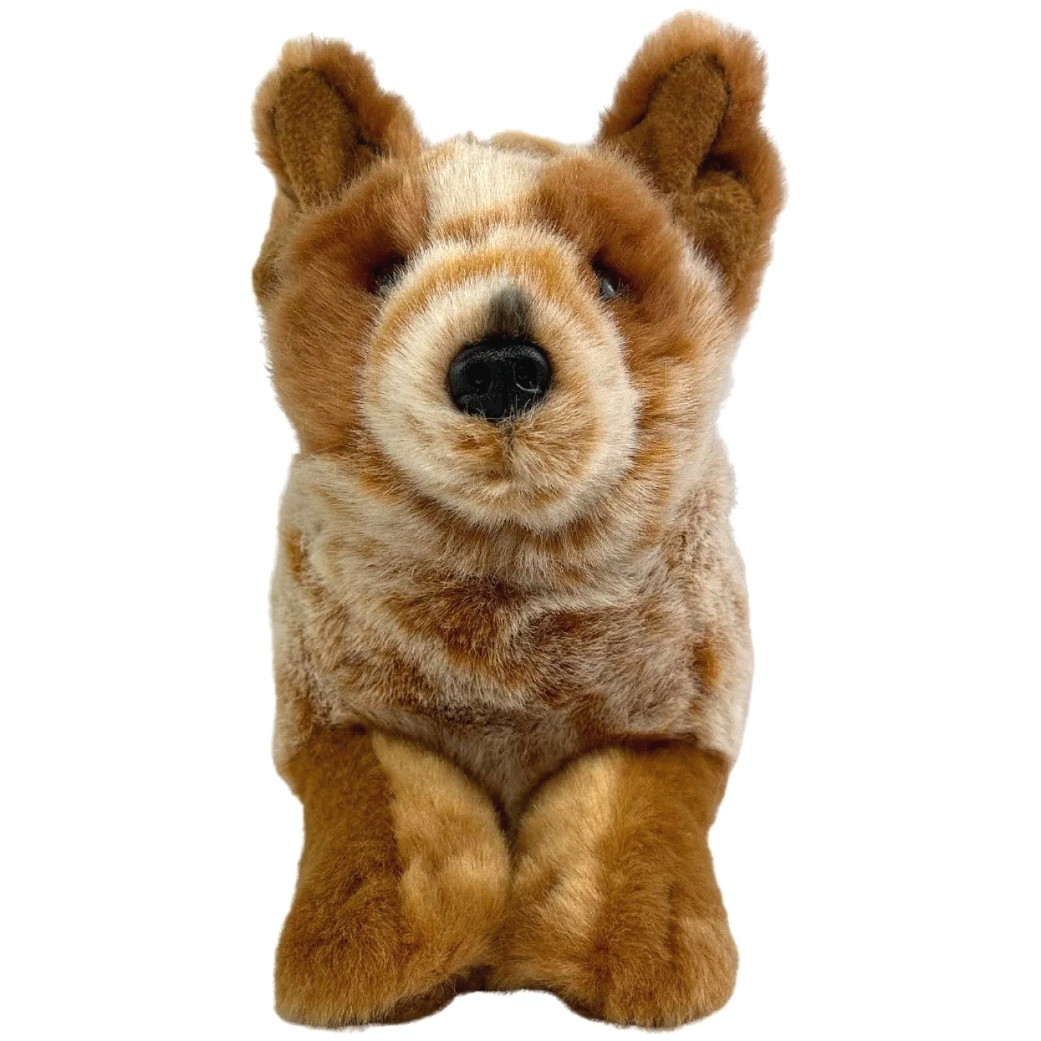 Bocchetta - Flame Red Cattle Dog Floppy Soft Plush 28cm