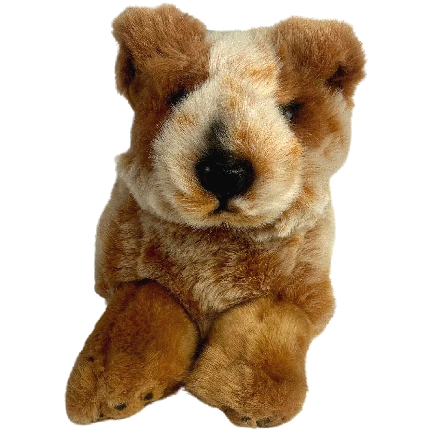 Bocchetta - Flame Red Cattle Dog Floppy Soft Plush 28cm