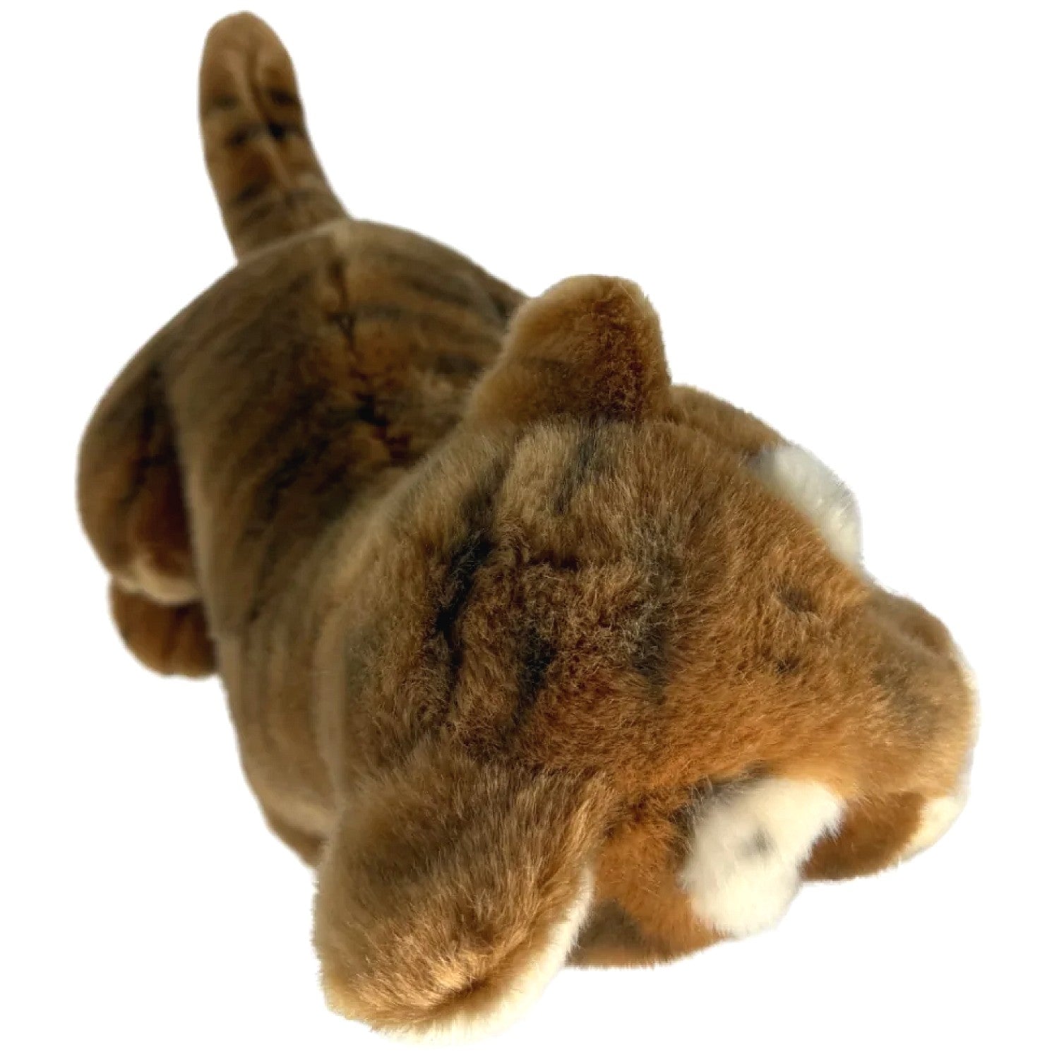Bocchetta - Tony Tiger Cub Sitting Soft Plush 26cm