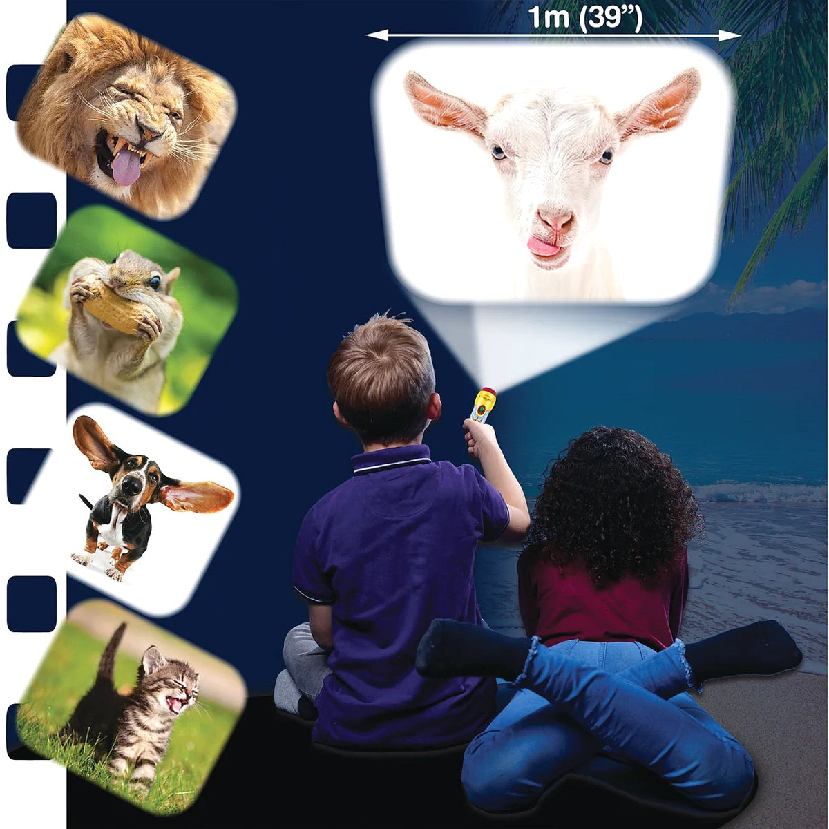 Brainstorm Toys - Funny Animals Torch & Projector