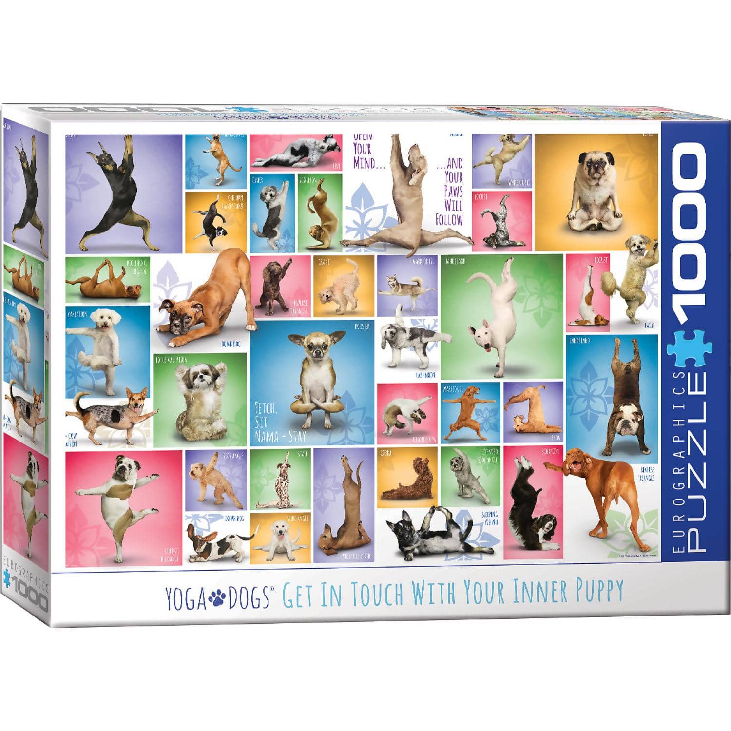 EuroGraphics - Yoga Dogs - Jigsaw Puzzle 1000 Pieces